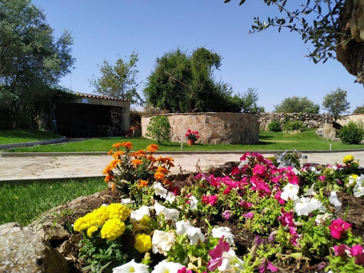 El Lagar Del Abuelo En Los Arribes Del Duero, Badilla, Θαμόρα Εξωτερικό φωτογραφία