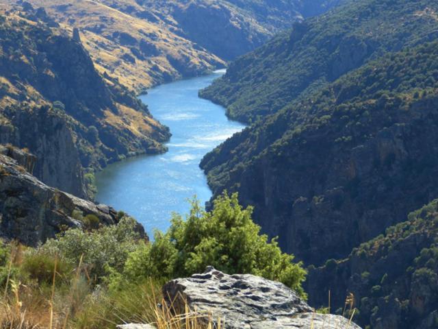 El Lagar Del Abuelo En Los Arribes Del Duero, Badilla, Θαμόρα Εξωτερικό φωτογραφία