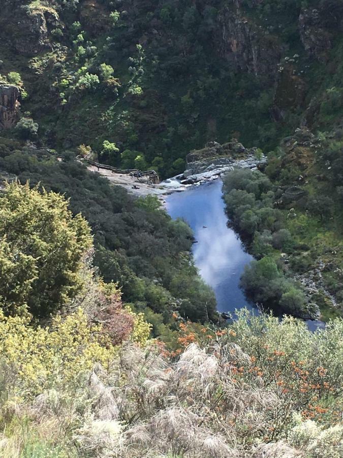 El Lagar Del Abuelo En Los Arribes Del Duero, Badilla, Θαμόρα Εξωτερικό φωτογραφία